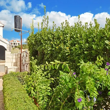 Petar Rogoznica (Sibenik-Knin)