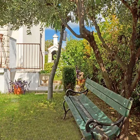 Petar Apartamento